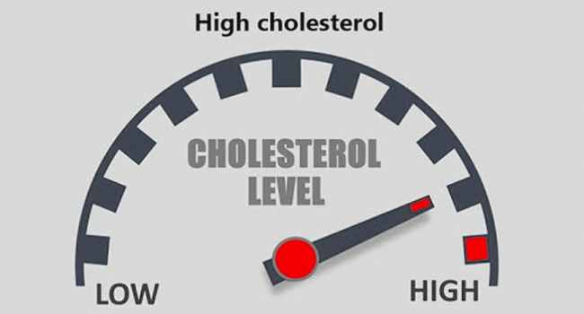 Cholesterol Overview