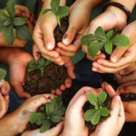 Environmental Education