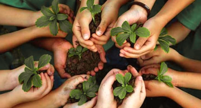 Environmental Education