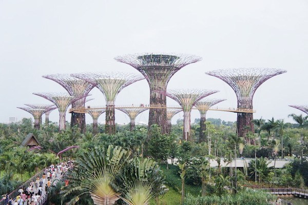 Gardens By The Bay
